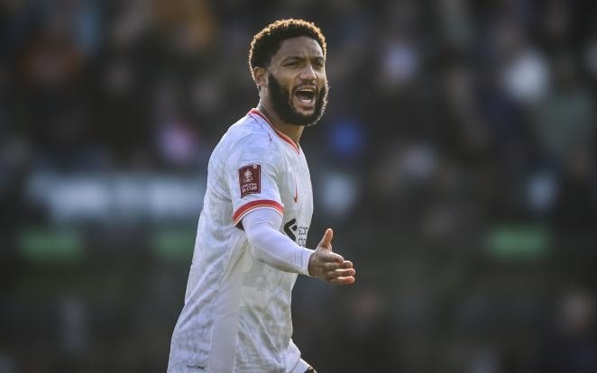 了追赶的信 了追赶的信